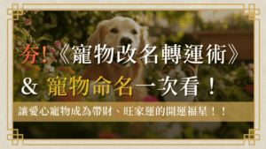 首頁 5 寵物命名pet-naming-寵物命名示意圖