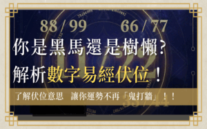 fu-wei-number伏位意思-數字易經伏位首圖