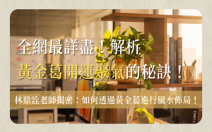 黃金葛風水-huang-jin-ge-feng-shui-黃金葛風水怎麼擺？林鼎詮老師解析財位、廁所、客廳、辦公室與陽台位置