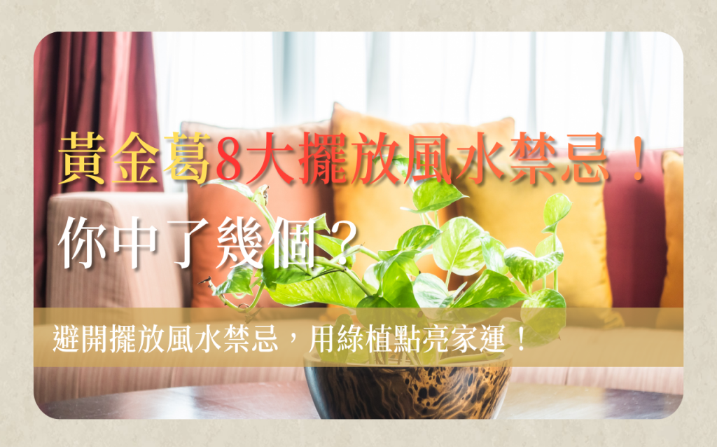 黃金葛禁忌有哪些?小心這些位置別亂放!解析8大黃金葛禁忌 1 黃金葛禁忌-huang-jin-ge-jin-ji-黃金葛禁忌有哪些?小心這些位置別亂放!解析8大黃金葛禁忌