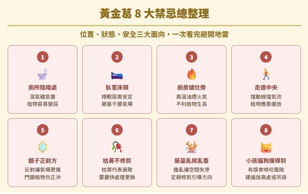 黃金葛禁忌有哪些?小心這些位置別亂放!解析8大黃金葛禁忌 黃金葛禁忌-huang-jin-ge-jin-ji-黃金葛 8 大禁忌總整理