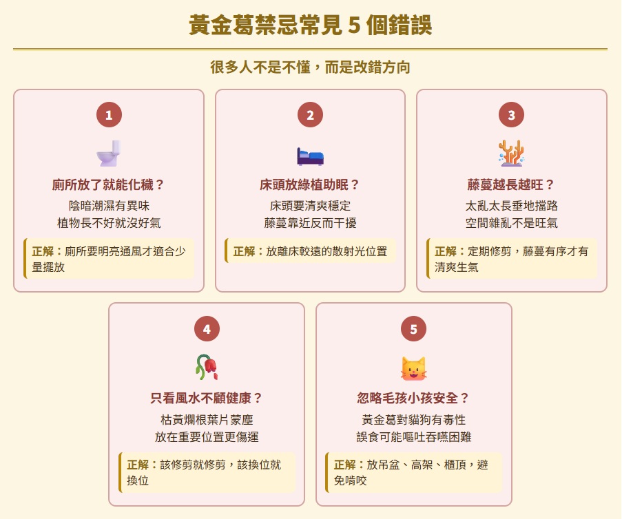 黃金葛禁忌有哪些?小心這些位置別亂放!解析8大黃金葛禁忌 黃金葛禁忌-huang-jin-ge-jin-ji-黃金葛禁忌常見 5 個錯誤