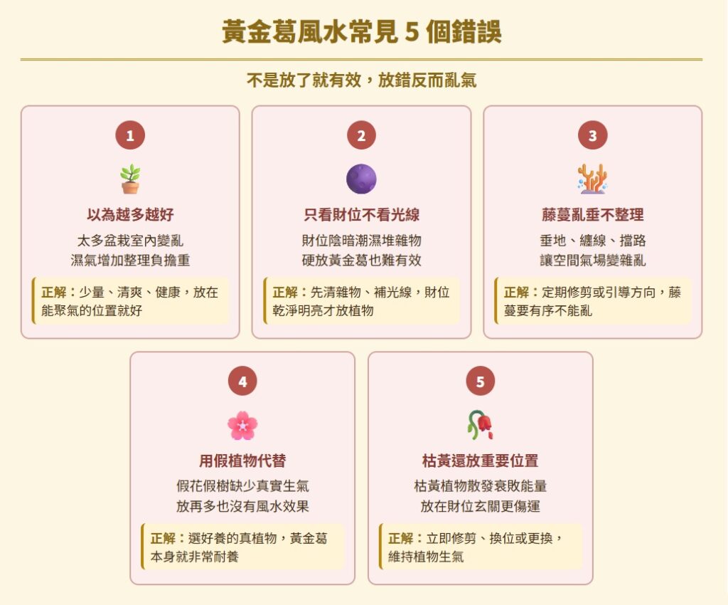 黃金葛風水怎麼擺?林鼎詮老師解析財位、廁所、客廳、辦公室與陽台位置 黃金葛風水-huang-jin-ge-feng-shui-黃金葛風水常見 5 個錯誤